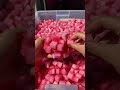 DRAGONFRUIT REFRESHER ASMR