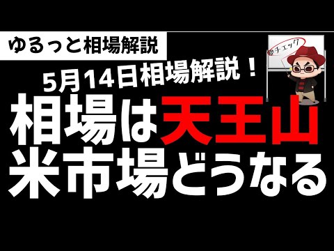 【5月14日のゆるっと相場解説】アメリカ市場が高値超えるのかどうか？日経平均株価は出遅れているが…ズボラ株投資