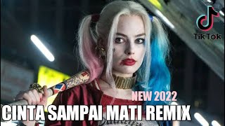 ARIEF CINTA SAMPAI MATI REMIX ANDIIRX NEW 2022