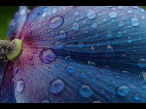 Sash! Feat. Stunt - Raindrops (Encore Une Fois) Sash! Feat. Stunt - Raindrops (Encore Une Fois)