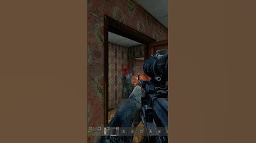 Logged in at the worst time... for them #dayz #fyp