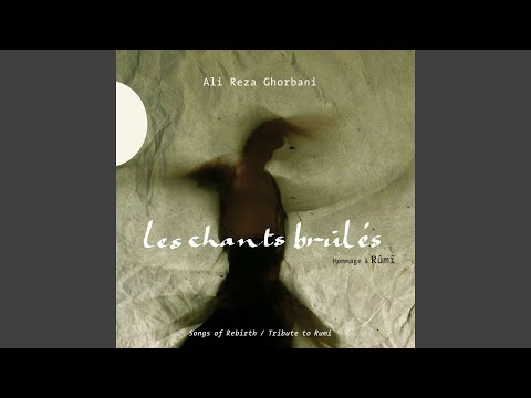 Parizad The Faery Of Light