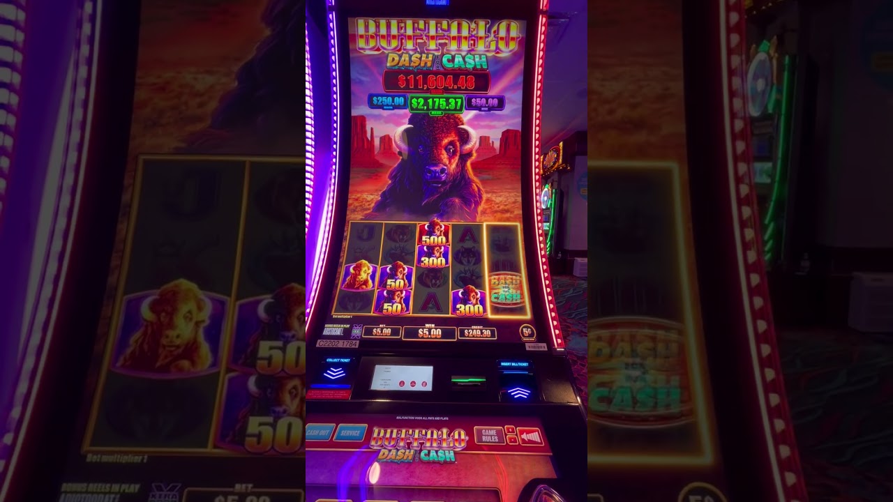 vn88 slot⚜ Thái Nguyên👌Trang chủ Buffalo Dash For Cash *Mega Spin Feature* casino gaming slots bonus slot