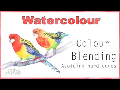 Avoiding hard edges when blending colors in watercolor.