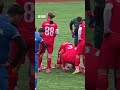 В Турции во время футбольного матча игрок случайно сбил мячом птицу. А другой футболист ее откачал
