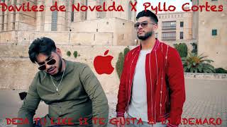 Vignette de la vidéo "Daviles de Novelda X Pyllo Cortes - POR VOLVERME A VER X DJ ADEMARO"