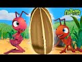 Ant Farm | Antiks 🐜 | Funny Cartoons for Kids