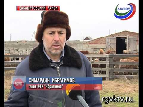 Тяжелый труд и любовь к родной земле - залог успеха фермера Тяжелый труд и любовь к родной земле - залог успеха фермера