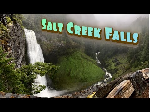 Video: Tukaj Je, Kako Obiskati Oregonov Impresiven Slap: Salt Creek Falls