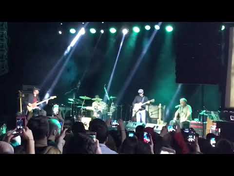 ნამი ველს-ნიაზ დიასამიძე@Niaz.Diasamidze