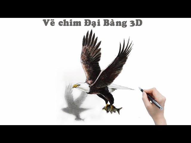 How To Draw Eagle/ Vẽ Con Chim Đại Bàng 3D/Pham Hoa Drawing. - Youtube