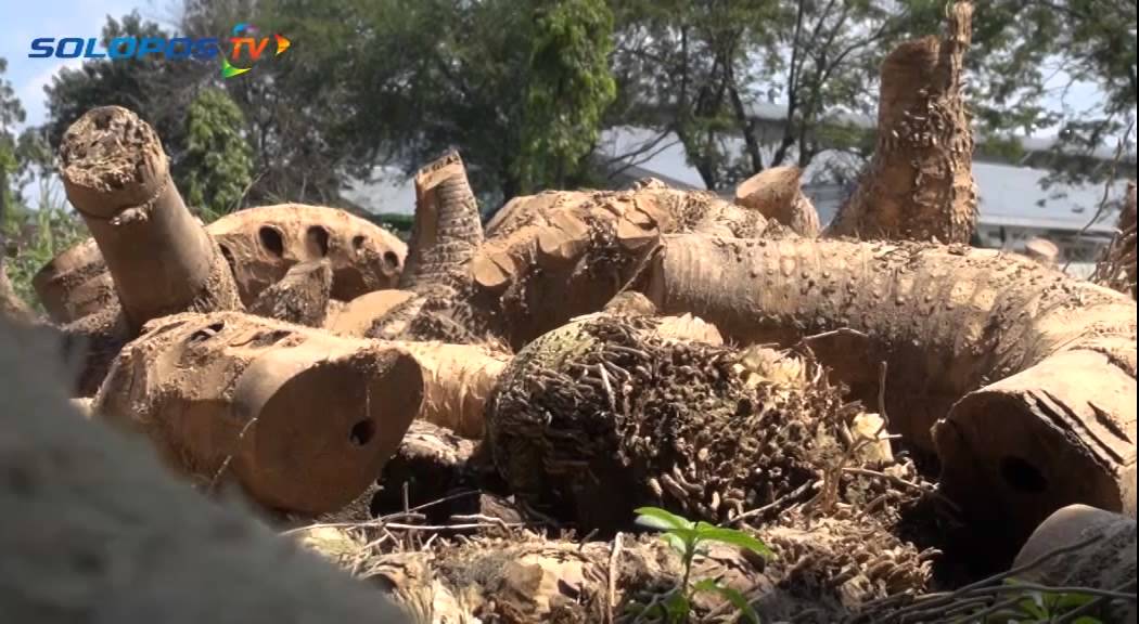  Bonggol  Bambu  Semula Limbah Jadi Karya Indah YouTube