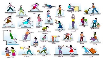 (2.20) Từ vựng tiếng Anh về hành động - Từ vựng tiếng Anh về chủ đề Con người