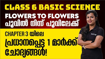 Class 6 Basic Science | chapter 3 flower to flower Important 1 Mark Questions | Xylem Class 6