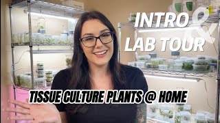 INTRO & TOUR OF HOME PLANT TISSUE CULTURE LAB