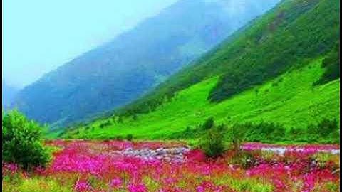 سورة لقمان 💜تلاوة تريح النفس💜 بصوت القارئ💜 خالد الجليل 💜