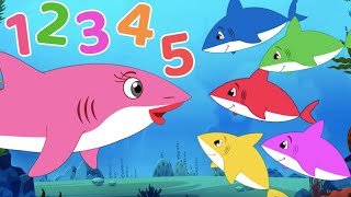 Five Little Sharks + More Number Counting Songs | FunForKidsTV - Nursery Rhymes &amp; Baby Songs