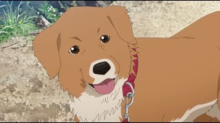 映画『とんがり頭のごん太　－2つの名前を生きた福島被災犬の物語－』予告編