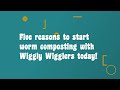 Five reasons to start worm composting with wiggly wigglers today