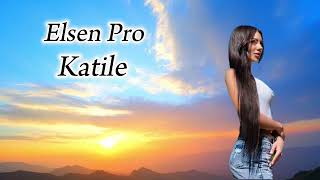 Elsen Pro Katile Resimi