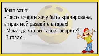 🤣Врезается Простая Машина В Крутую...Сборник Весёлых Анекдотов Для Супер Настроения!