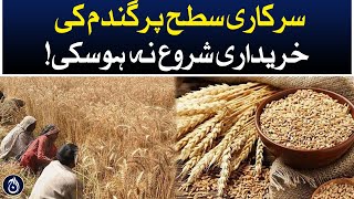 Purchase of wheat at the official level could not be started - Aaj News
