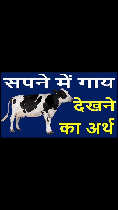 Sapne Me Gaay Dekhna seeing Cow In Dream Gaay Ka Sapna Sapnokiduniya sapne-me-gaay-dekhna-seeing-cow-in-dream-gaay-ka-sapna-sapnokiduniya