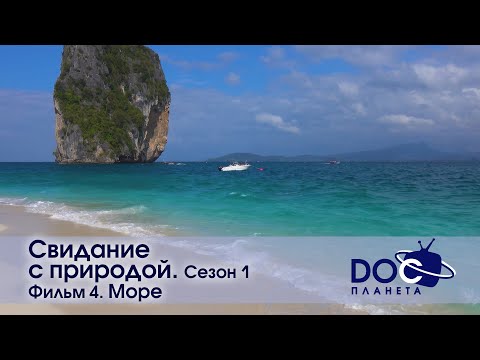 Видео: Свидание с природой. Сезон 1 - Фильм4. Море - Документальный фильм - Антистресс сериал