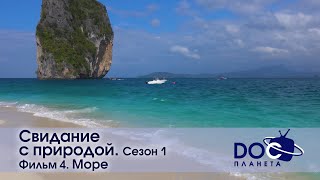 Свидание с природой. Сезон 1 - Фильм4. Море - Документальный фильм - Антистресс сериал