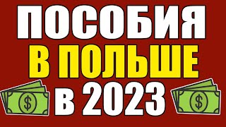 Все пособия в Польше в 2023 году для беженцев!