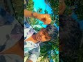 Song Song