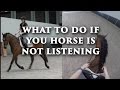 WHAT TO DO IF YOUR HORSE IS NOT LISTENING - Dressage Mastery TV Episode 123