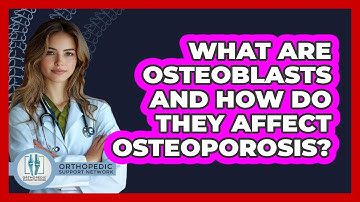 What Are Osteoblasts And How Do They Affect Osteoporosis? - Orthopedic Support Network