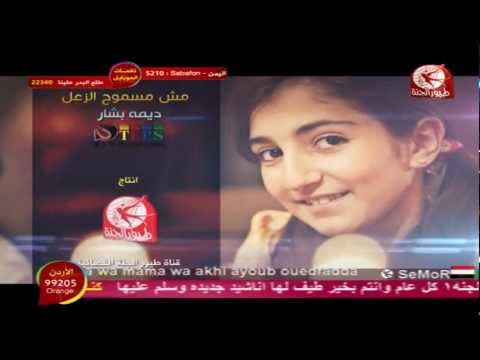 مش مسموح الزعل ديمة بشار بدون إيقاع HD