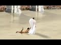 Mateso Ya Kutisha Ndani Ya Freemason Na Unyama Wa Kutisha Hatari Mateso Ya Kutisha Ndani Ya Freemason Na Unyama Wa Kutisha Hatari