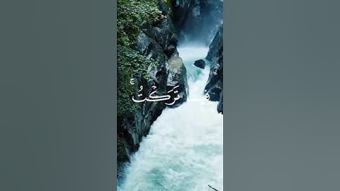 آية 99 - 100 من سورة المؤمنون ( حتى اذا جاء أحدهم الموت ) | الشيخ ابو بكر الشاطري
