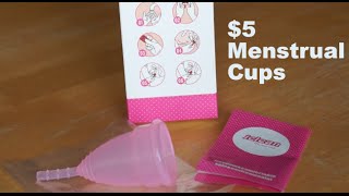 $5 Menstrual Cup - Must Have! // Prepper