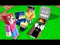 IL MIO AMICO MARCY È MORTO SU MINECRAFT! *TRISTISSIMO*