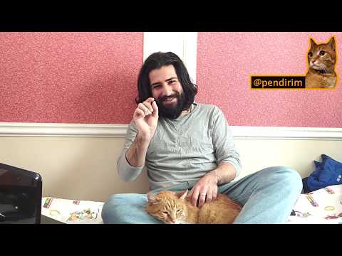 Video: Pişiklərin Declawing Qanunsuzdur?