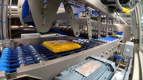 CPS Case Packing Systems - CP201