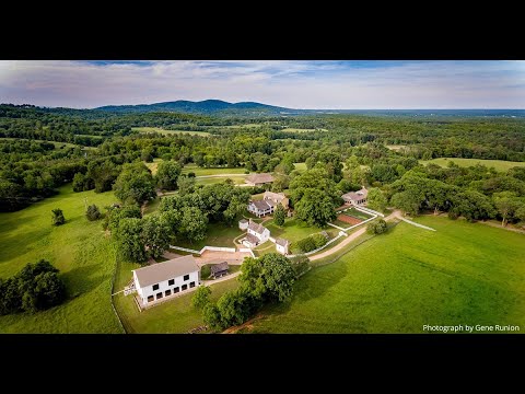 Video: Highland Sara: Biografi, Karrierë, Jetë Personale