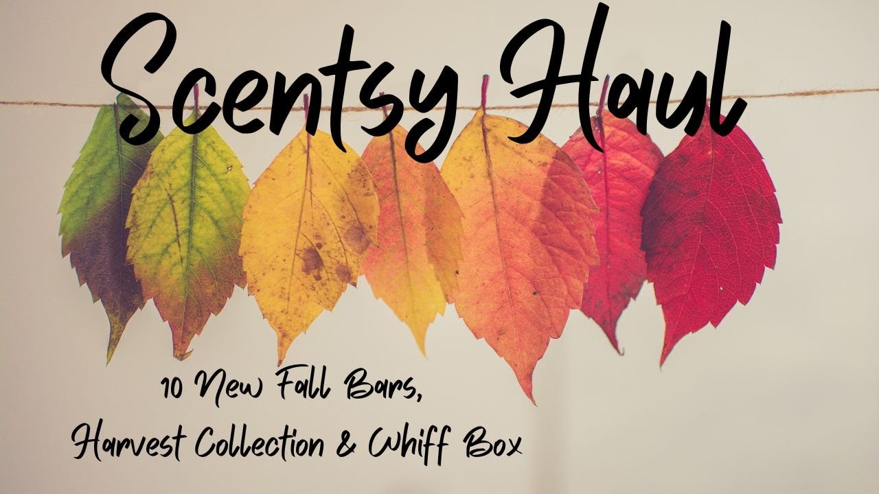 Scentsy Early Access Haul: Featuring 10 New Fall Bars, Harvest ...