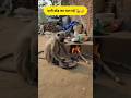 बंदर का पत्नी छोड़ कर भाग गई 🐒🤣 #funny #comedy #Monkey #wife #husband #cooking #eating #village