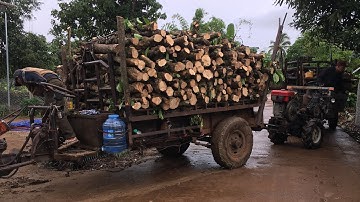 (Mơ vlogs)115 xe công nông cầu đẩy chở củi kiếm tiền mùa dịch rất khó khăn