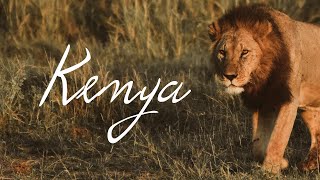 KENYA 🇰🇪 • Notre 1er SAFARI en 3 minutes 🐘🦒