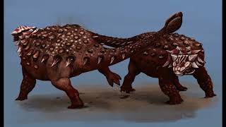 Why do animals have tails?