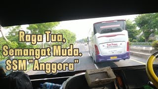 Lari Sore.. ||Duet Bus Sinar Mandiri Mulia 