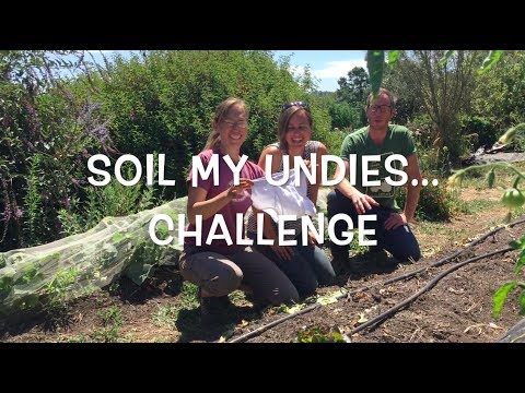 Soil My Undies Challenge: Measuring Soil Biology with a Pair of