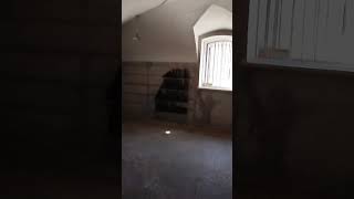тюремная библиотека