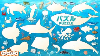 【海の生き物16種類】水族館のなかまたちパズルであそぼう！【赤ちゃんが喜ぶ知育動画】Sea creatures Puzzle animation for kids